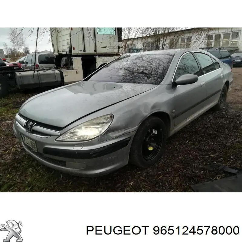 Купити 965124578000 Peugeot/Citroen 