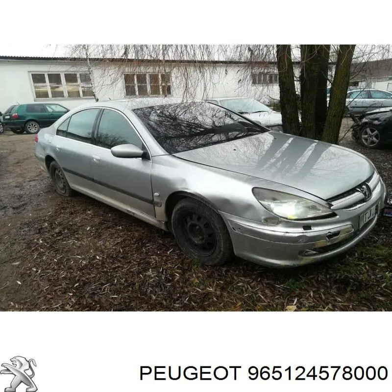 965124578000 Peugeot/Citroen 