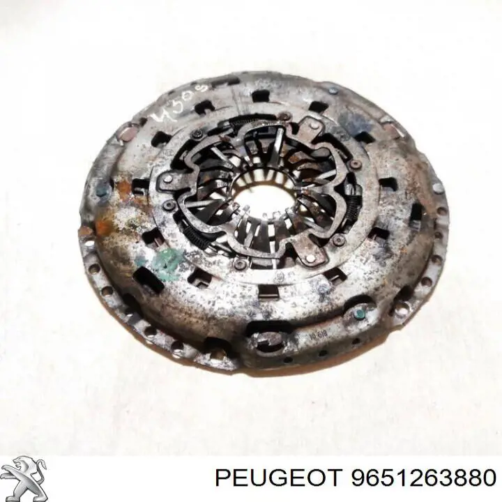 9651263880 Peugeot/Citroen 