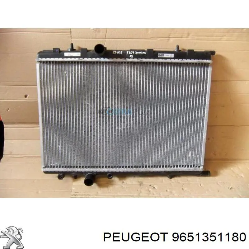 9651351180 Peugeot/Citroen 