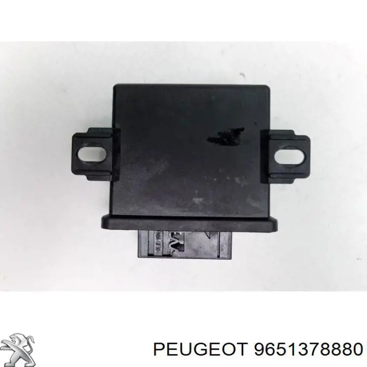 9651378880 Peugeot/Citroen 