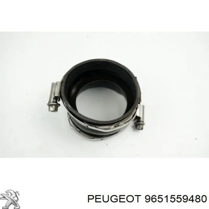 9651559480 Peugeot/Citroen 