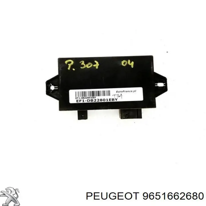 9651662680 Peugeot/Citroen 