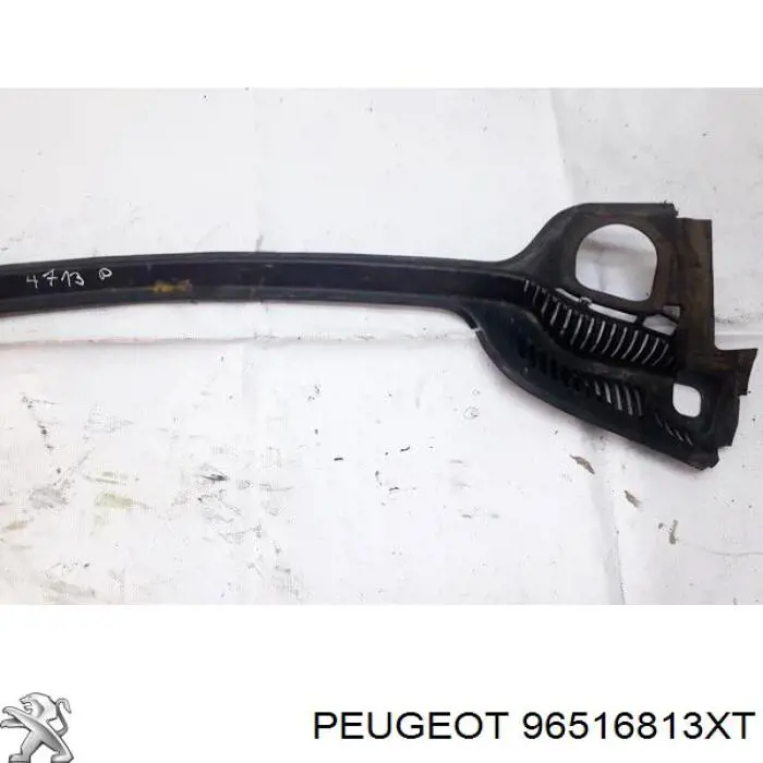 Купити 96516813XT Peugeot/Citroen 