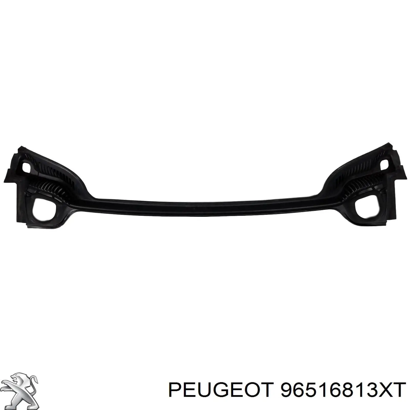 96516813XT Peugeot/Citroen 