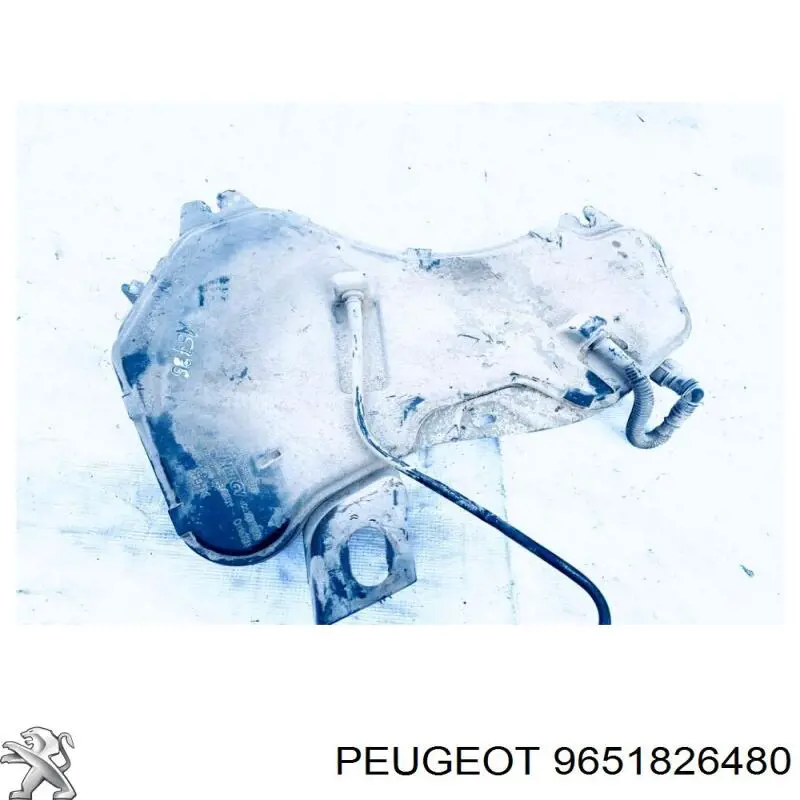 9651826480 Peugeot/Citroen 