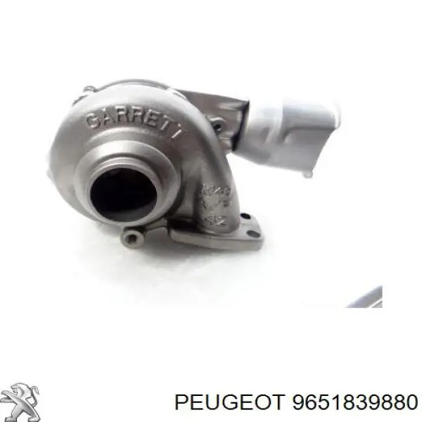 Купити 9651839880 Peugeot/Citroen Турбіна