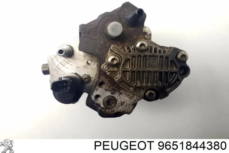 9651844380 Peugeot/Citroen насос паливний високого тиску (пнвт - DIESEL)