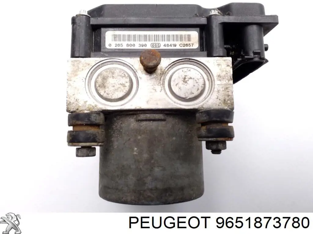 9651873780 Peugeot/Citroen 