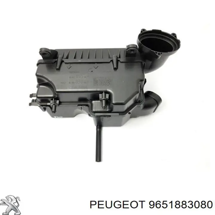 9651883080 Peugeot/Citroen 