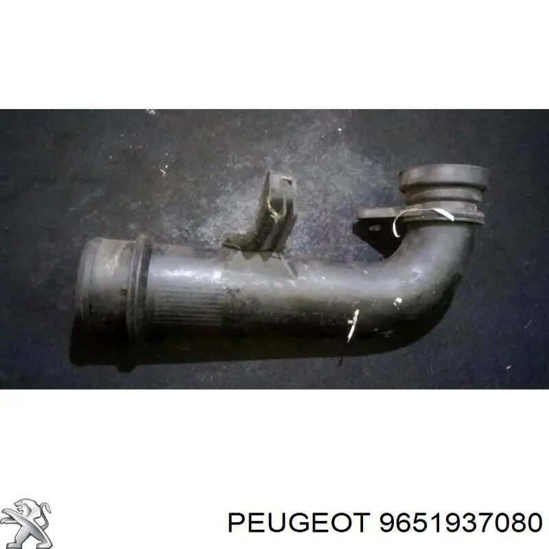 9651937080 Peugeot/Citroen 