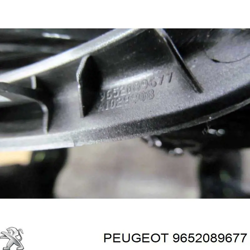 9652089677 Peugeot/Citroen 