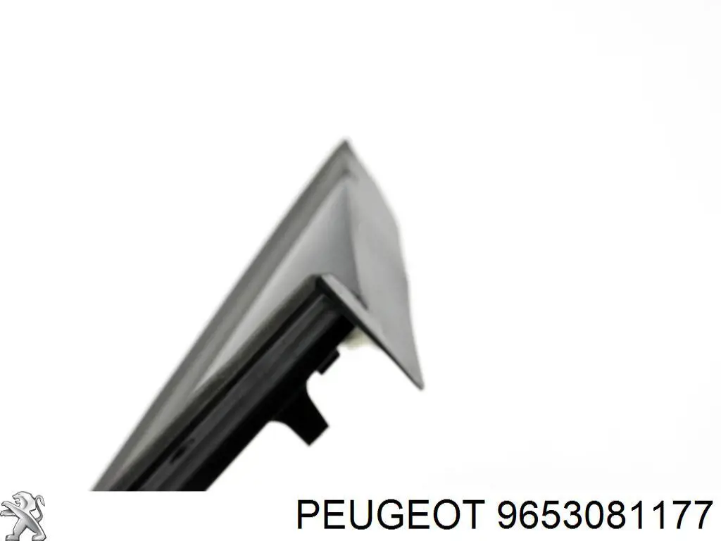  9653081177 Peugeot/Citroen