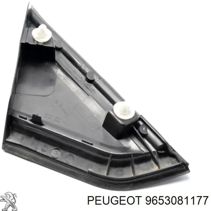 9653081177 Peugeot/Citroen 