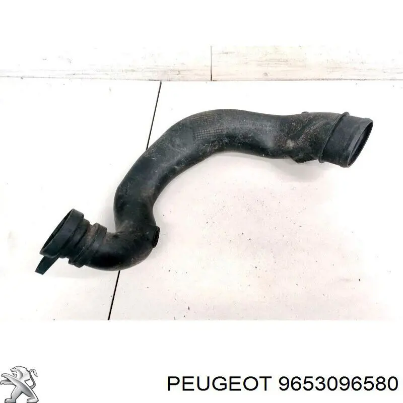 9653096580 Peugeot/Citroen 