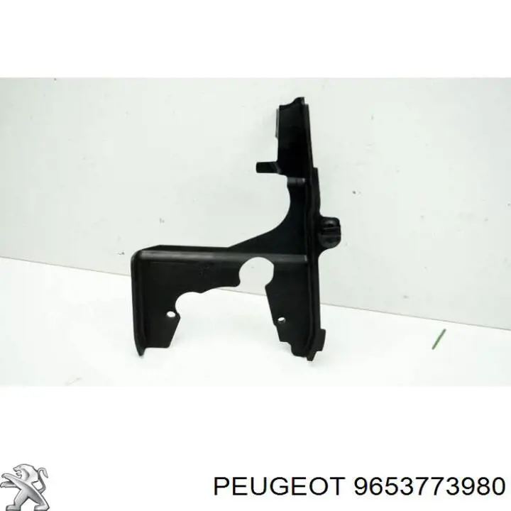9653773980 Peugeot/Citroen 