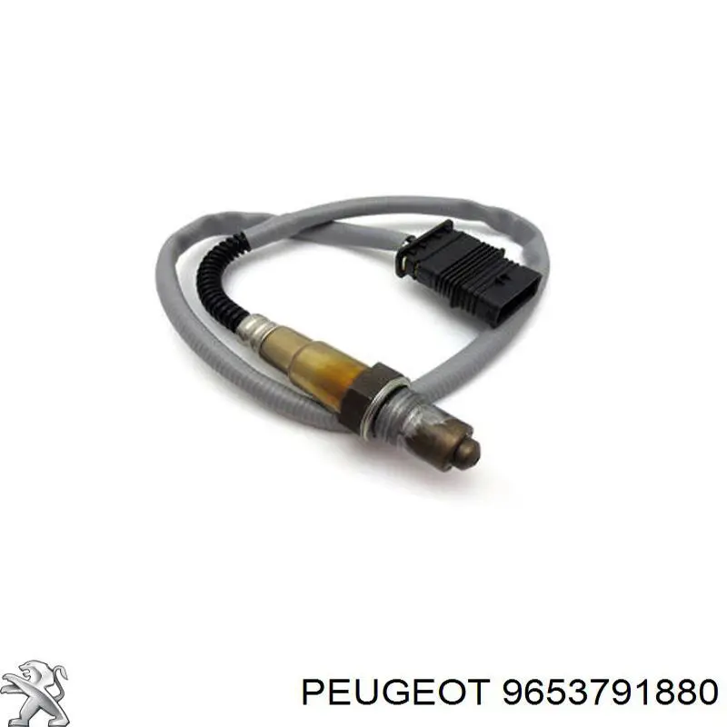  Peugeot/Citroen 9653791880 ціна, від 50.68 USD