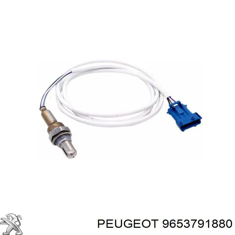 Купити 9653791880 Peugeot/Citroen 