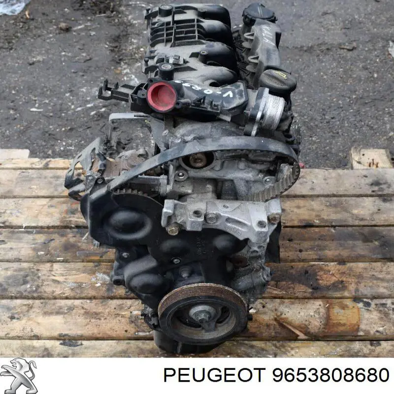 Колектор впускний, лівий Peugeot/Citroen 9653808680 ціна, від 18.79 USD