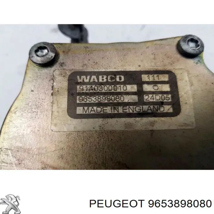 Купити 9653898080 Peugeot/Citroen Вакуумний насос