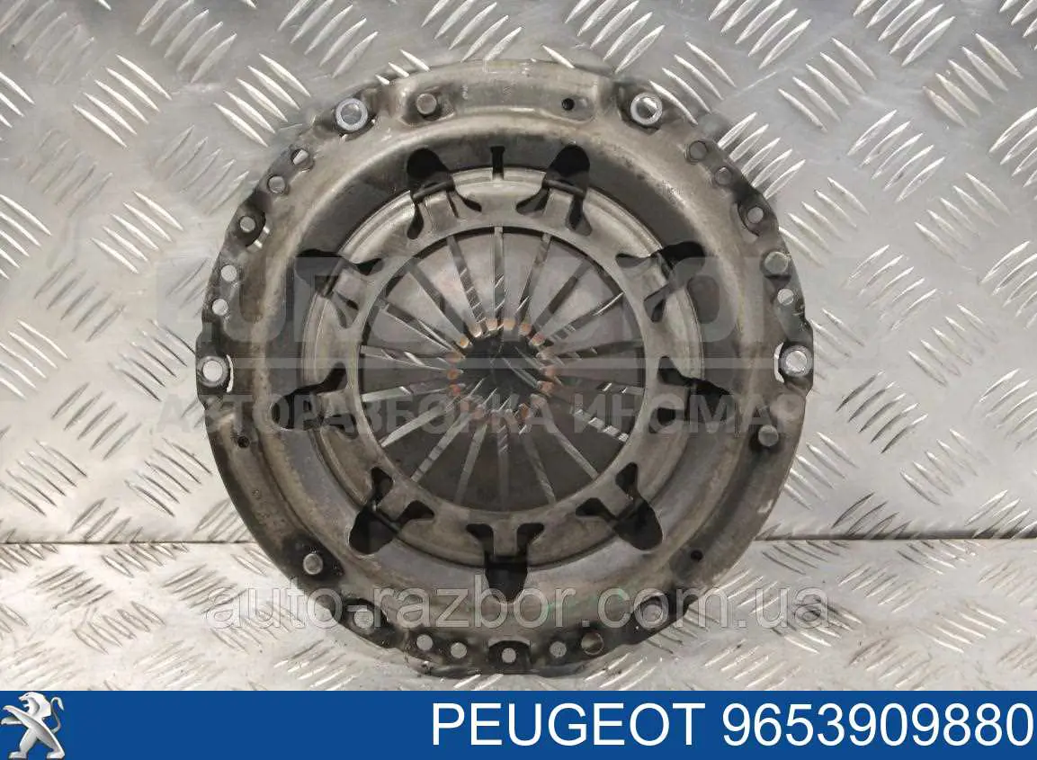 Пелюстковий кошик зчеплення Peugeot/Citroen 9653909880 ціна, від 14.11 USD