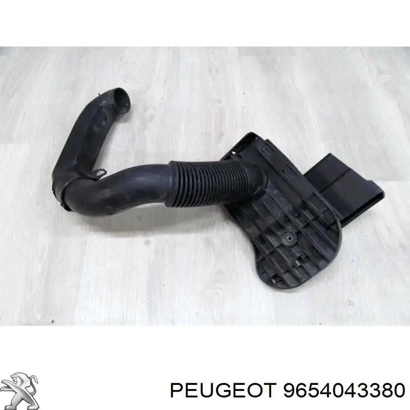 9654043380 Peugeot/Citroen 