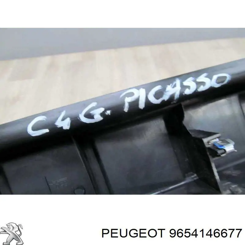 9654146677 Peugeot/Citroen 