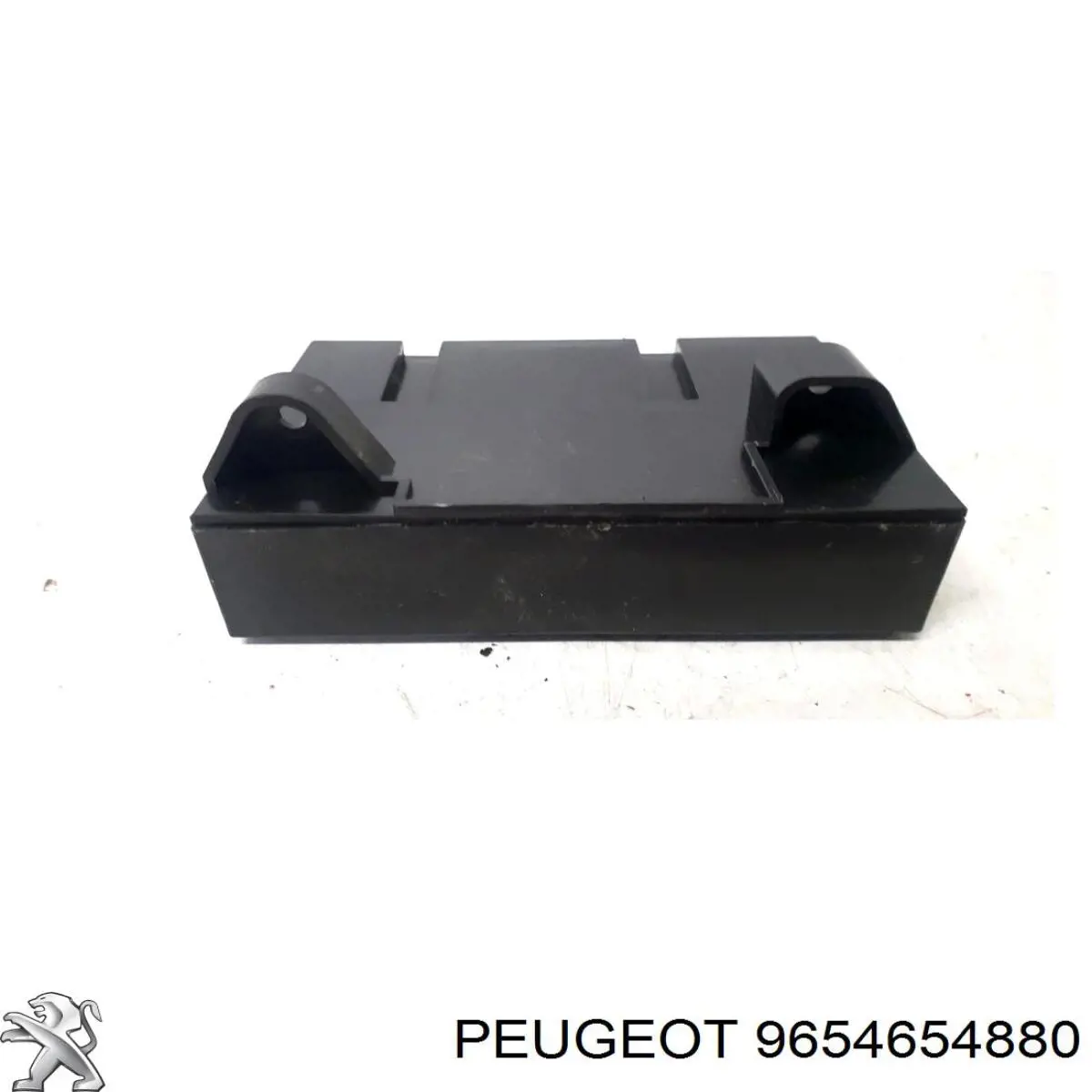 9654654880 Peugeot/Citroen 