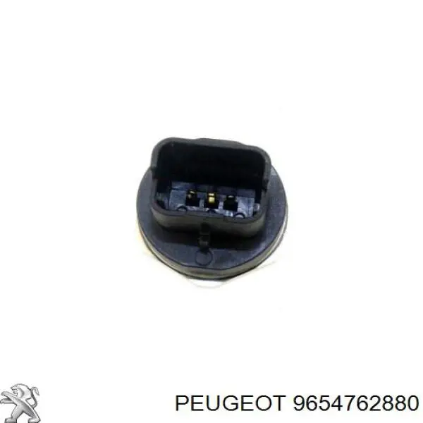  9654762880 Peugeot/Citroen