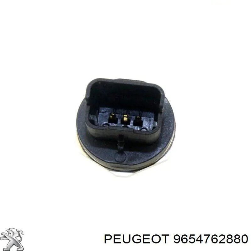 9654762880 Peugeot/Citroen 