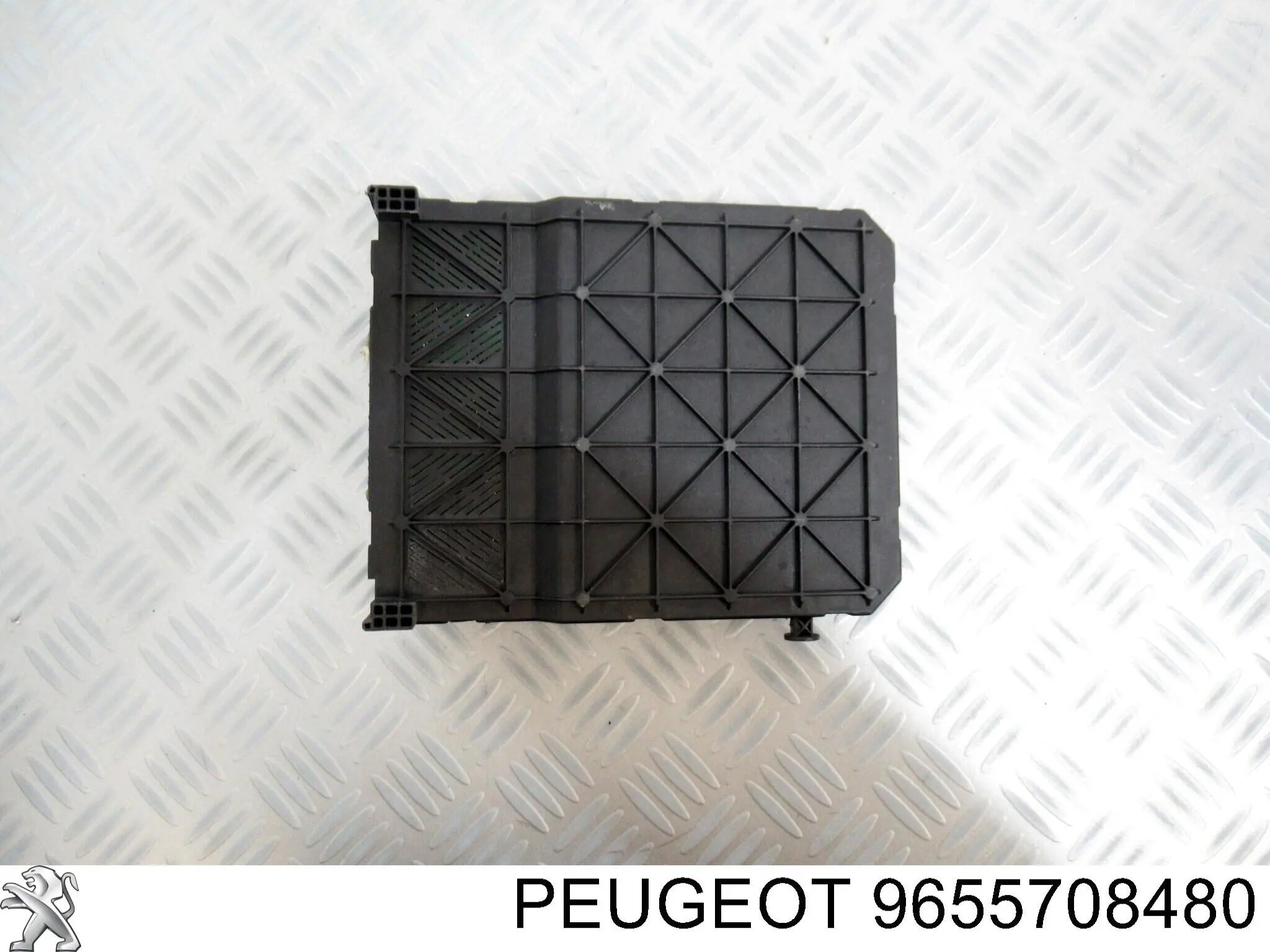 Купити 9655708480 Peugeot/Citroen 