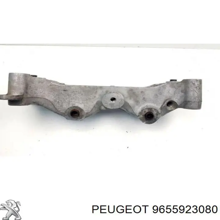 9655923080 Peugeot/Citroen 