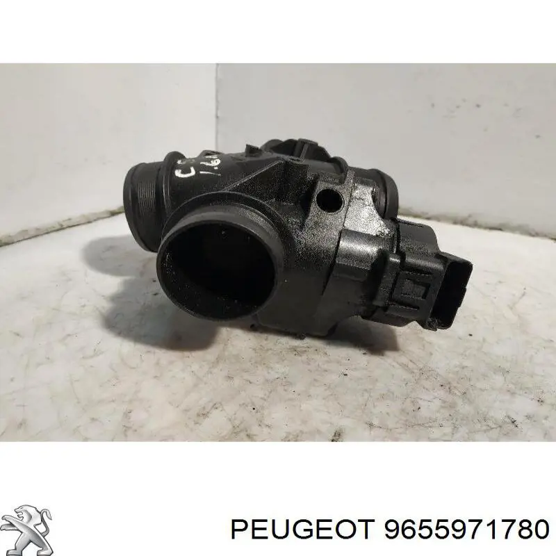 9655971780 Peugeot/Citroen 