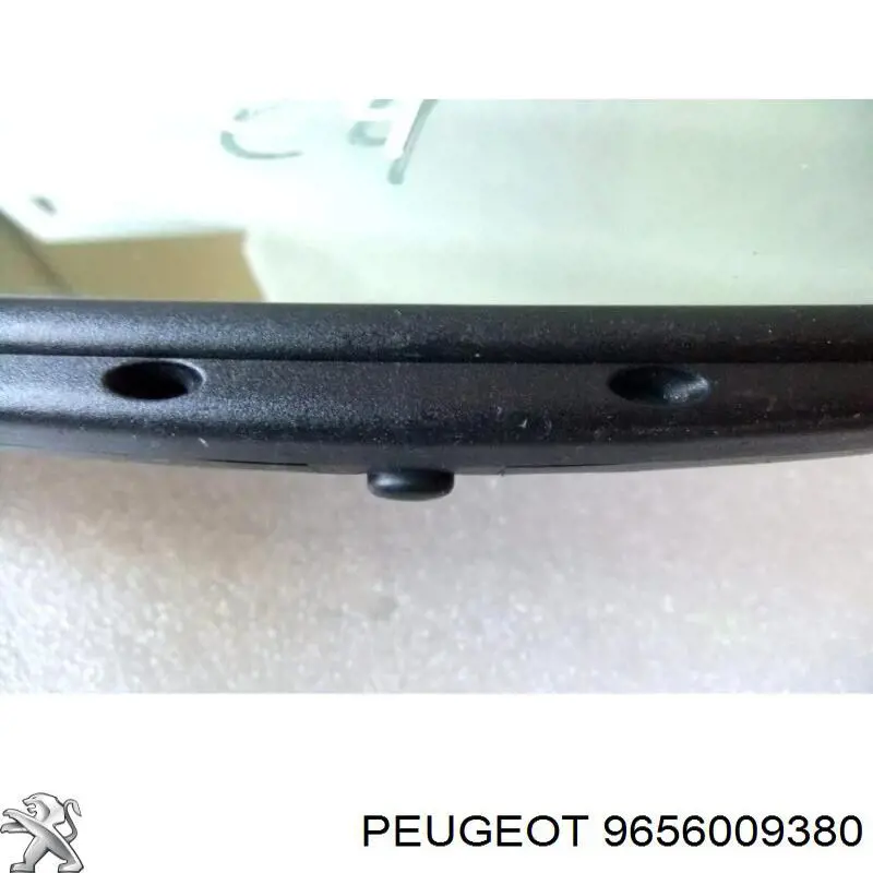 9656009380 Peugeot/Citroen 