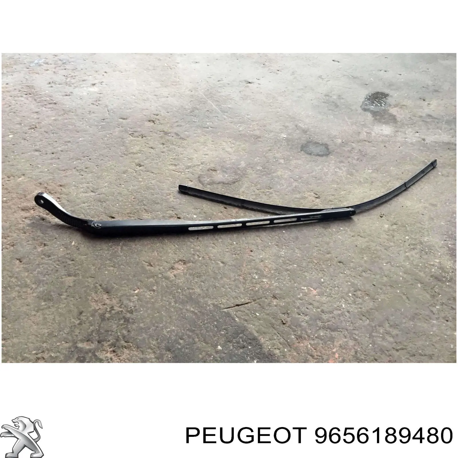Купити 9656189480 Peugeot/Citroen 