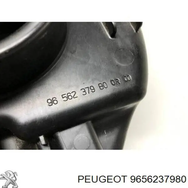  9656237980 Peugeot/Citroen