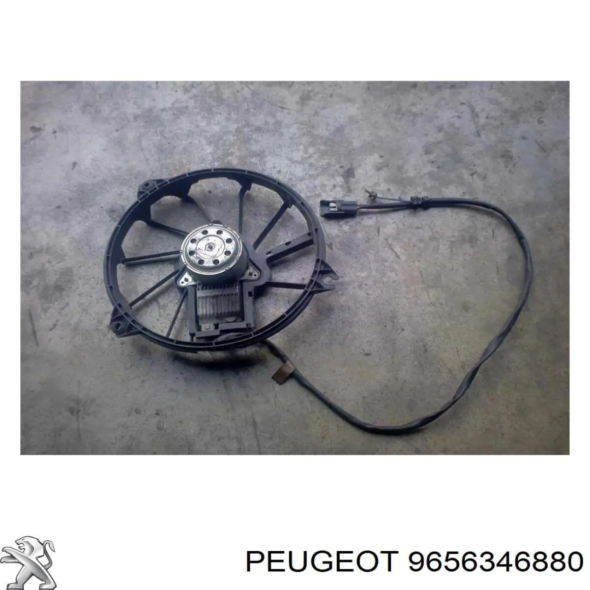 9656346880 Peugeot/Citroen 