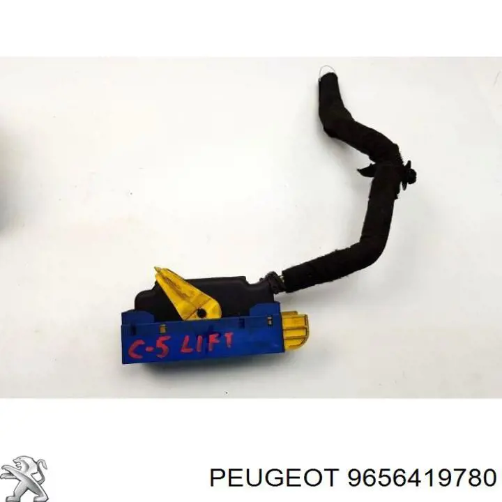 9656419780 Peugeot/Citroen 