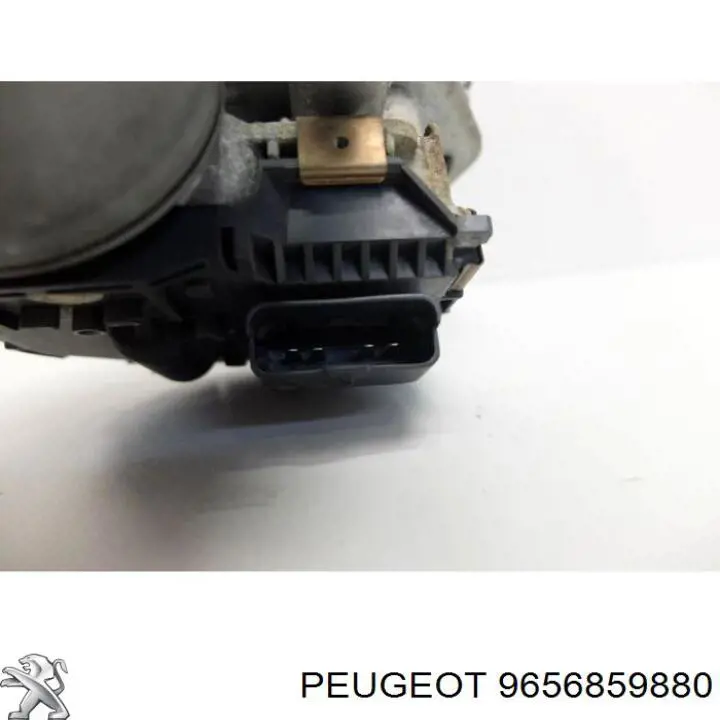 9656859880 Peugeot/Citroen 