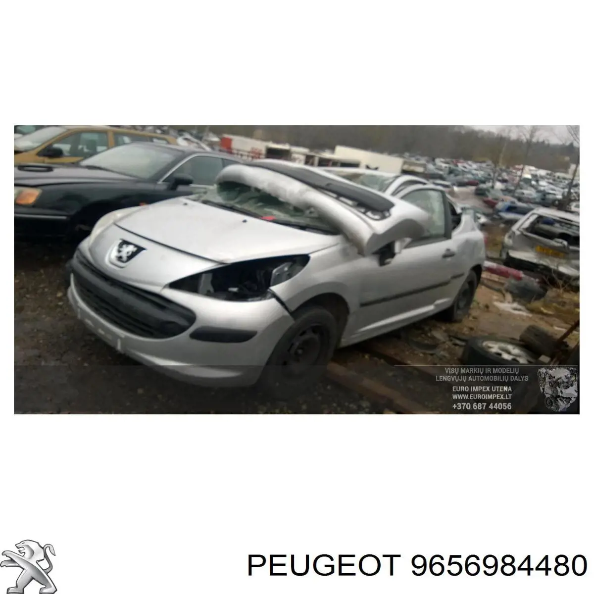  9656984480 Peugeot/Citroen