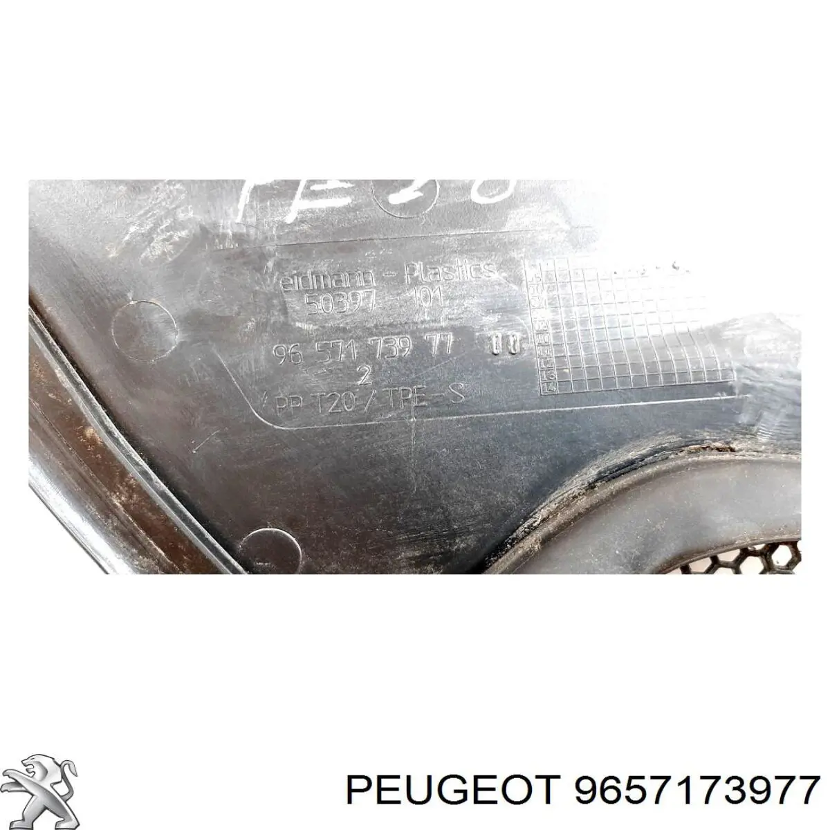 9657173977 Peugeot/Citroen 