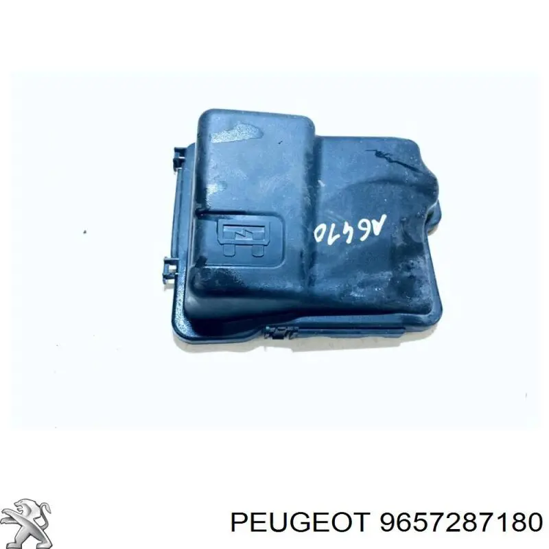 9657287180 Peugeot/Citroen 