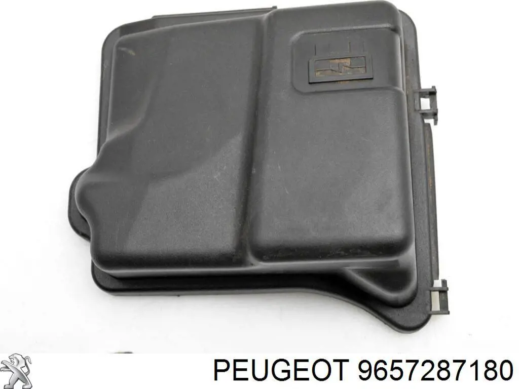 Купити 9657287180 Peugeot/Citroen 