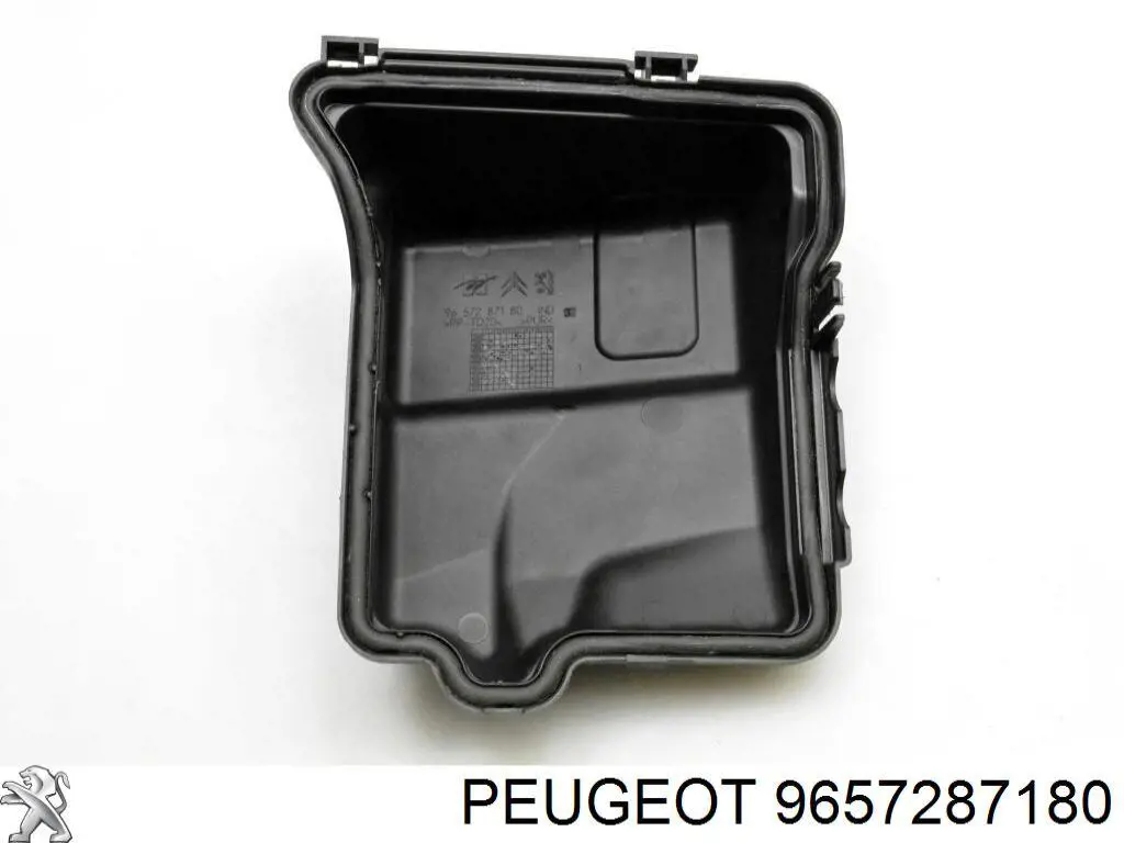  9657287180 Peugeot/Citroen