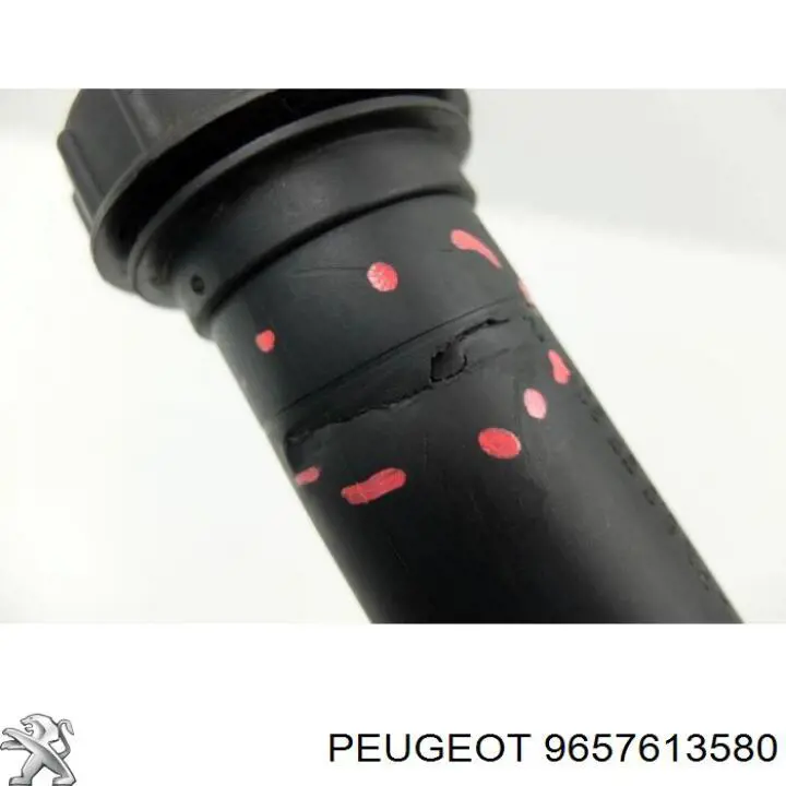 Купити 9657613580 Peugeot/Citroen Насос гідравліки