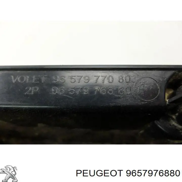 Купити 9657976880 Peugeot/Citroen 