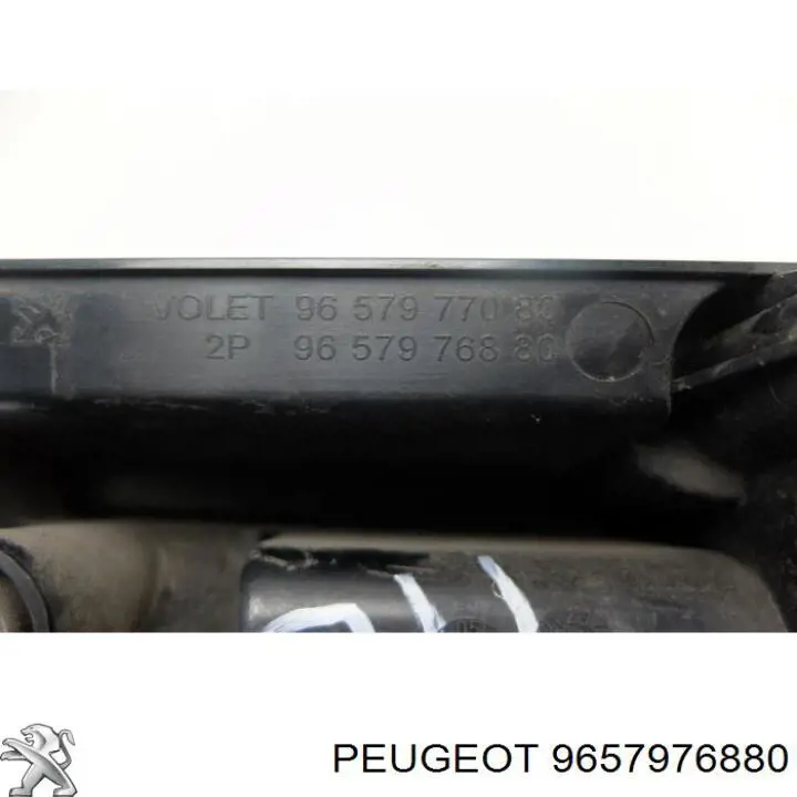  9657976880 Peugeot/Citroen