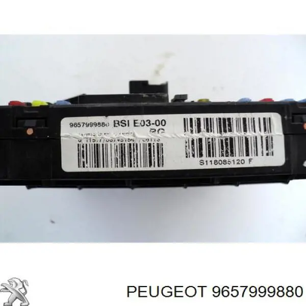Купити 9657999880 Peugeot/Citroen 