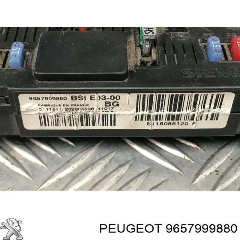  9657999880 Peugeot/Citroen