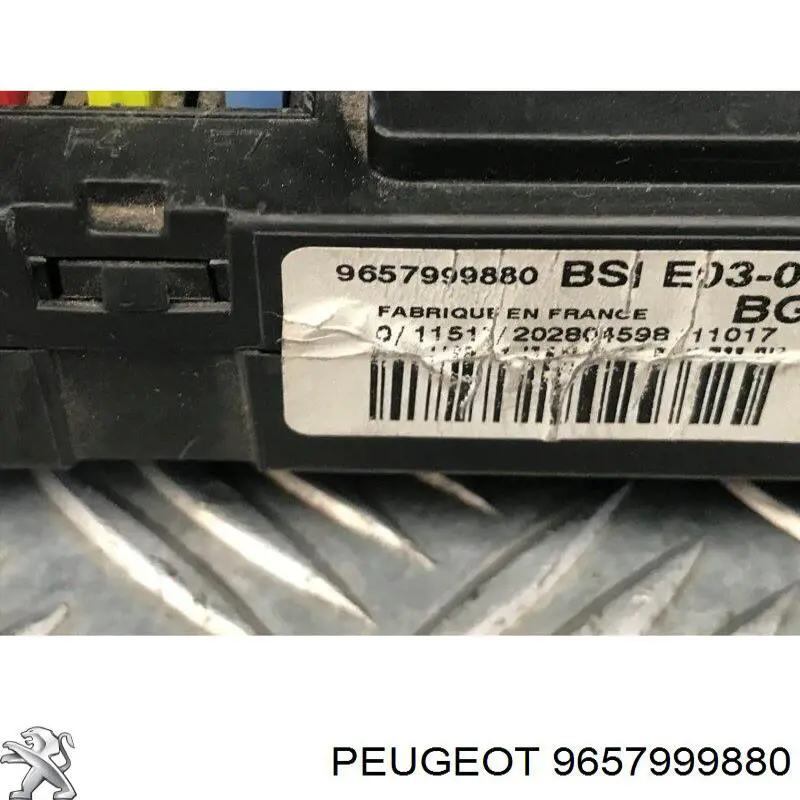 9657999880 Peugeot/Citroen 